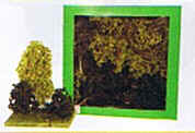 Naturbäume