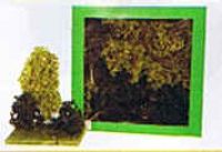Jordan 4B, 12 Naturbäume grün, ca. 8-12 cm, Made in Germany
