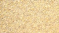 Juweela, Kartoffeln, braun, ungewaschen, Spur 1, 1:32, 23104 - 23105, Made in Germany