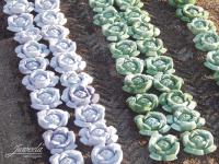Juweela, Kohl Rotkohl-Pflanzen, Spur 1, 1:32, 23365 - 23366, Made in Germany