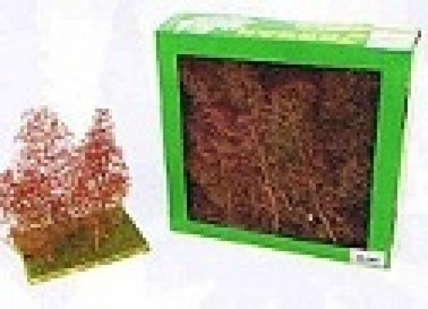 Jordan 4D, 25 Naturbäume seegras/seemoos natur,  Made in Germany