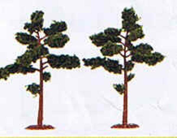 Jordan 5D, 2 Kiefern mit Fuß, ca. 11 cm, Made in Germany