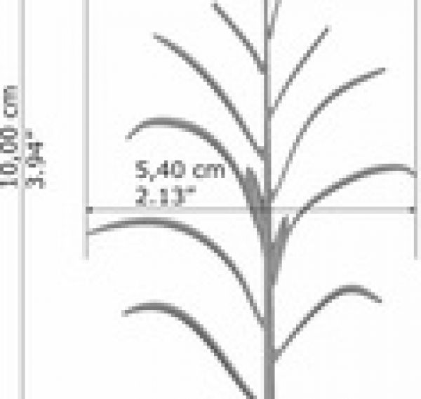 Juweela, Maispflanzen braun, Spur 1, 1:32, 23289, Made in Germany
