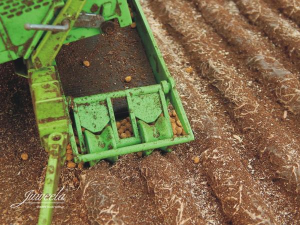Juweela, Kartoffelacker, Spur 1, 1:32, 23384 - 23385, Made in Germany