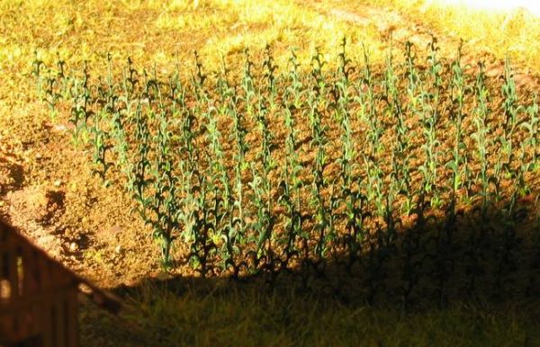 Ndetail 201, Bausatz "Mais im Frühsommer und Sommer", Spur N